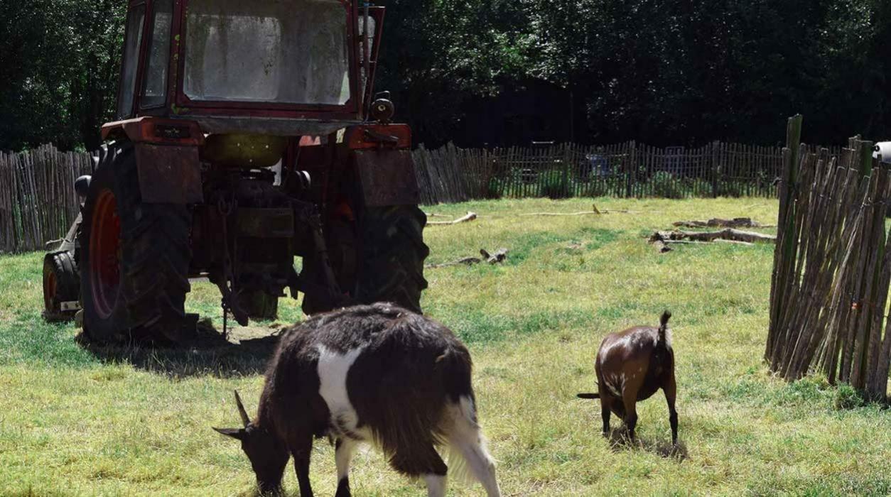 Hoeve De Pippert Hotel Ophemert Zewnętrze zdjęcie