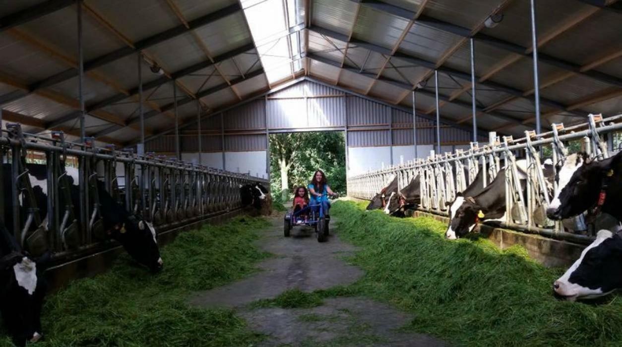 Hoeve De Pippert Hotel Ophemert Zewnętrze zdjęcie