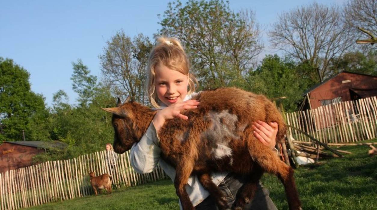 Hoeve De Pippert Hotel Ophemert Zewnętrze zdjęcie