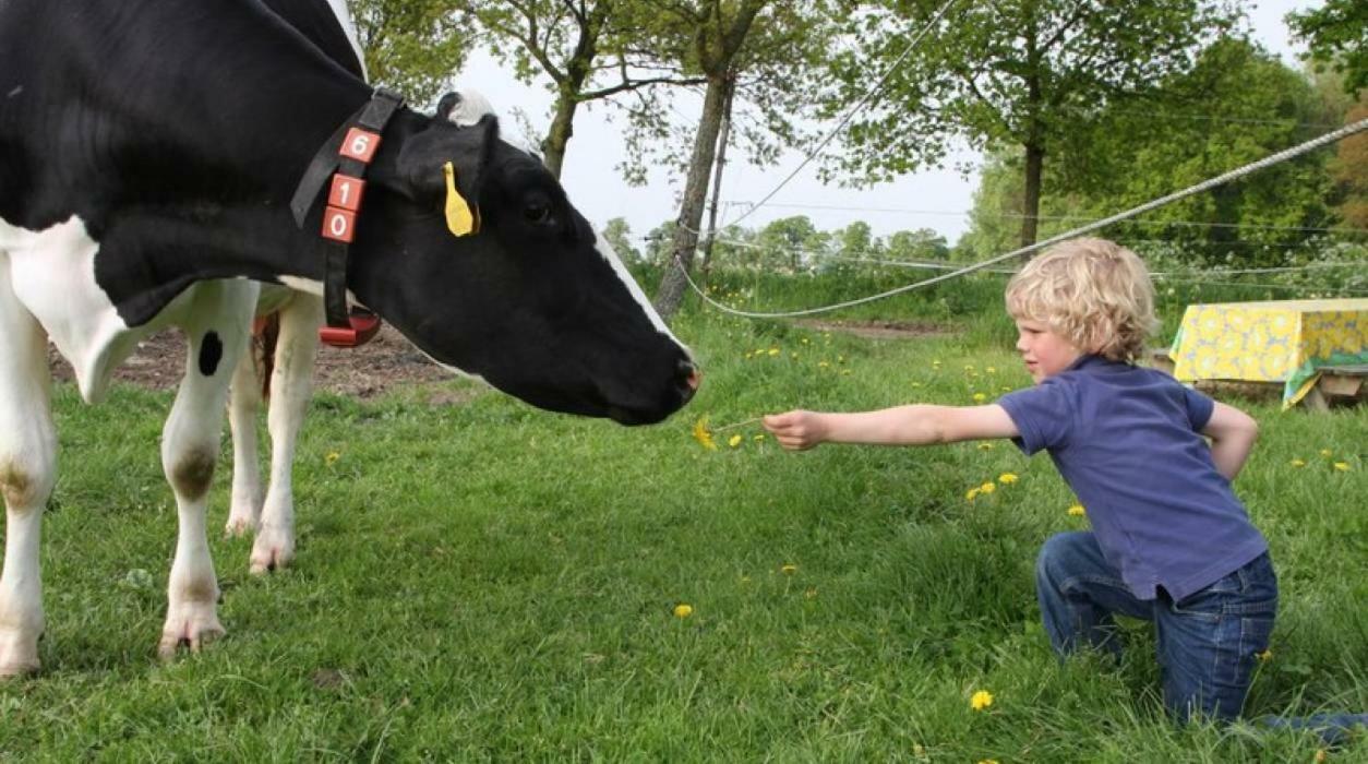 Hoeve De Pippert Hotel Ophemert Zewnętrze zdjęcie